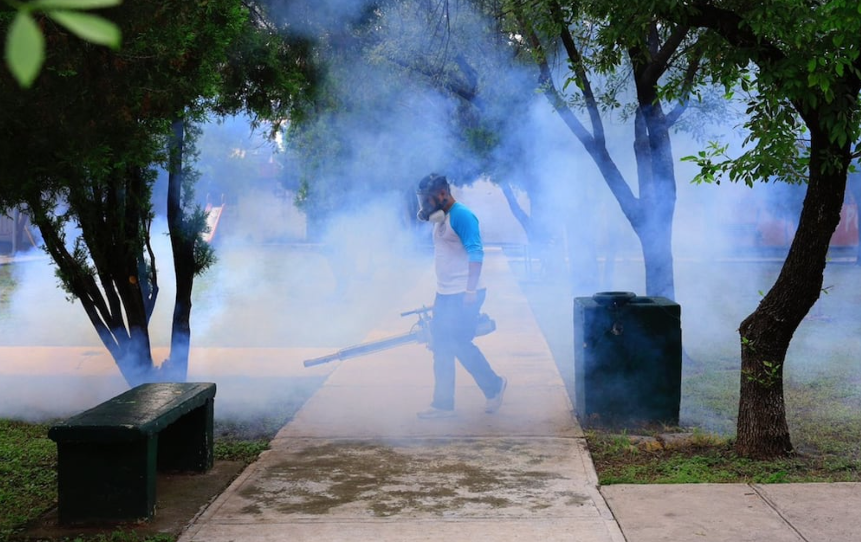 Exigen declarar emergencia por dengue en Nuevo León